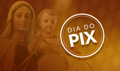 No Dia de Nossa Senhora do Carmo, comemore com generosidade